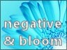 Blaine's Bloom/Negative Effects